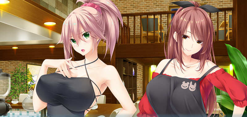 姐姐推荐：和姐姐的恶作剧生活 汉化版+存档 ADV游戏 4G-次元小屋