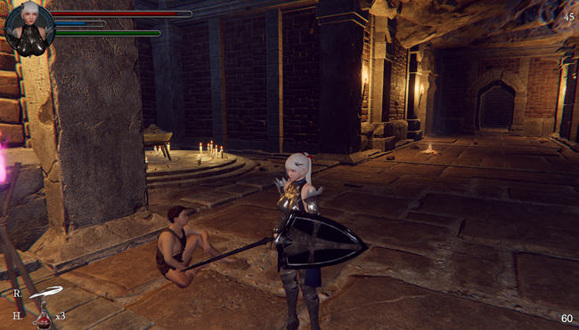 图片[2]-地下城的女骑士 DL官方中文解码版 3D动作冒险游戏 1.9G-次元小屋